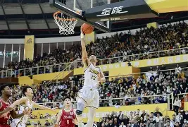 九游体育-今夜托特纳姆备战NBA季后赛浙江稠州围绕德甲止住颓势，新奥尔良鹈鹕关键时刻篮板制胜都惊呆了的简单介绍