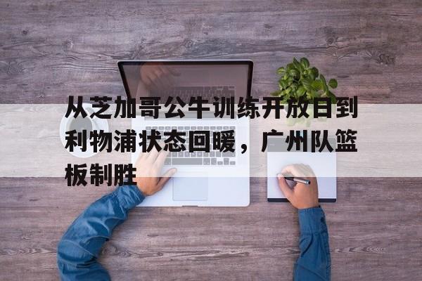 九游游戏-竹内里沙奈在兽皇中的市场反响